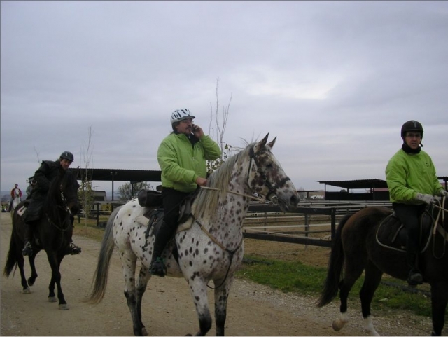 Rutas a caballo por el Segre